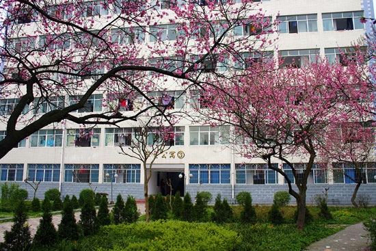 重庆市春珲人文技工学校