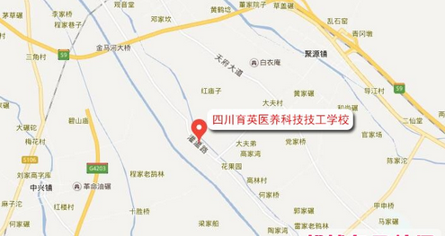 四川育英医养科技技工学校