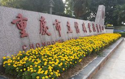 重庆立信职业教育中心