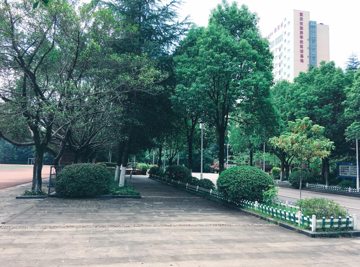 重庆市旅游学校