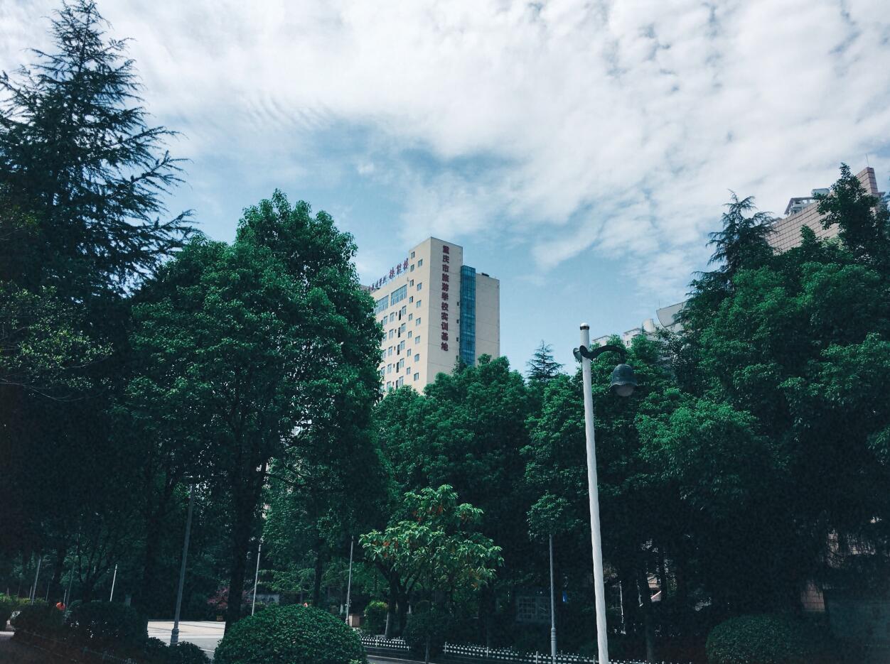 重庆市旅游学校