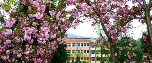 道真县中等职业学校好不好