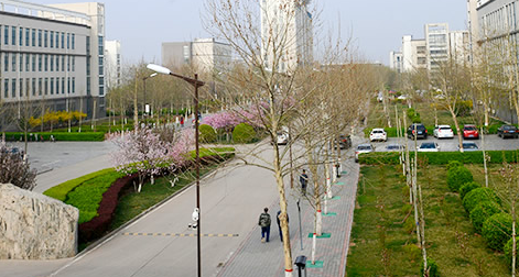 衡水北方司法学校