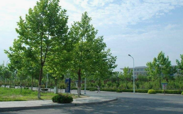 重庆市江南职业学校招生对象、招生要求