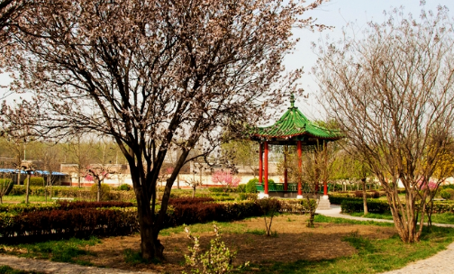 邯郸理工学校