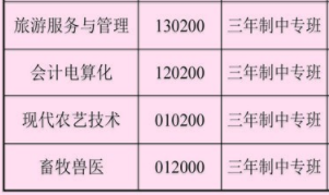 湖南省隆回县职业中等专业学校招生专业