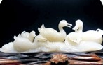 郴州技师学院招生专业