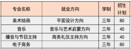 湖南长沙艺术学校、学校招生计划