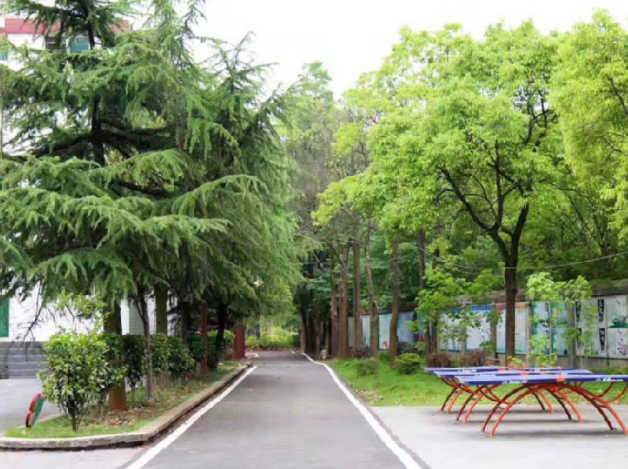 长沙科技工程学校、招生计划