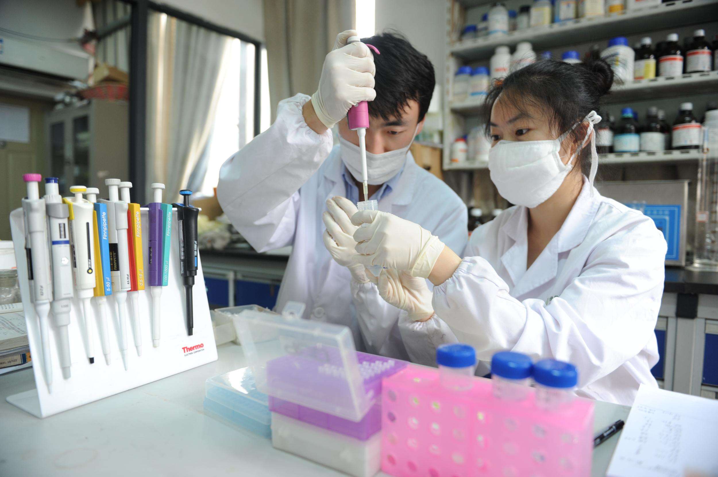 武汉市江夏区卫生学校有哪些专业、招生专业