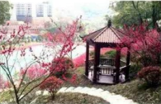 邵阳市交通技工学校环境、图片