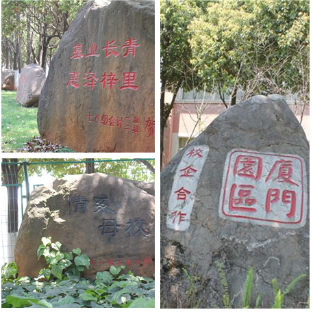 云南省玉溪技师学院环境
