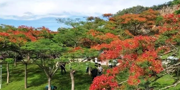 昆明市财经商贸学校简介、概况