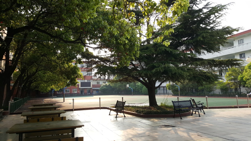 震旦中等专业学校