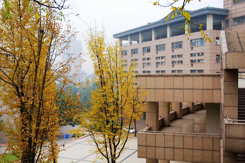 北京市中医学校