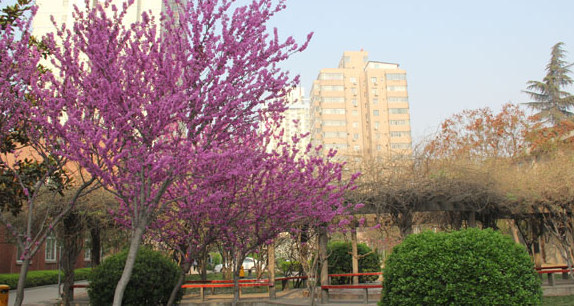 枣庄市卫生学校