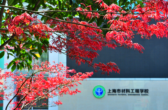 上海市材料工程学校