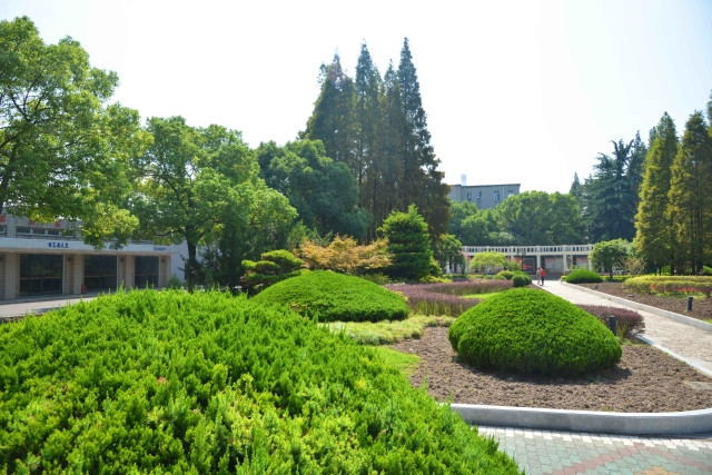 上海石化工业学校环境、学校图片