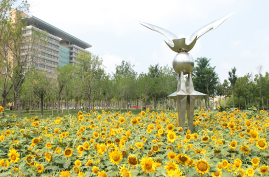 烟台城乡建设学校