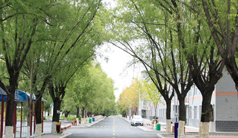 黑龙江省水利学校