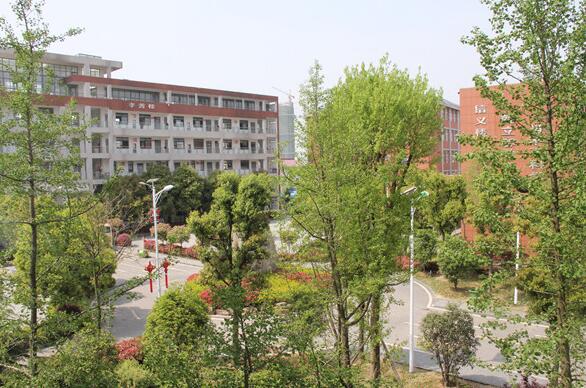 合肥理工学校2020