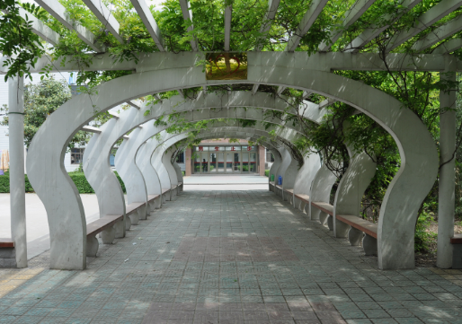 淮北卫生学校环境图