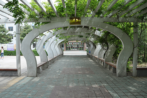 安徽省淮北卫生学校