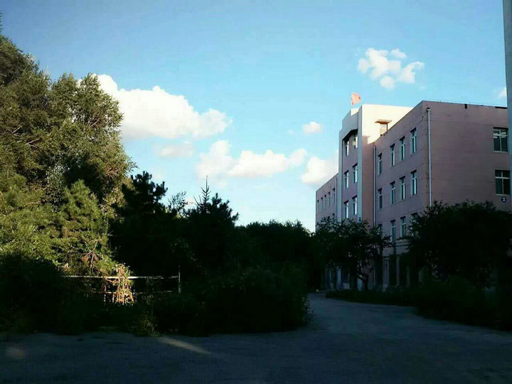 沈阳师联幼师中等职业学校