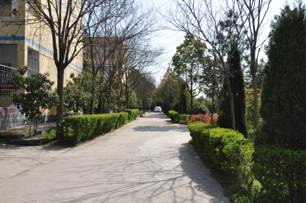 合肥兴华学校