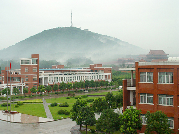 安徽新华学校
