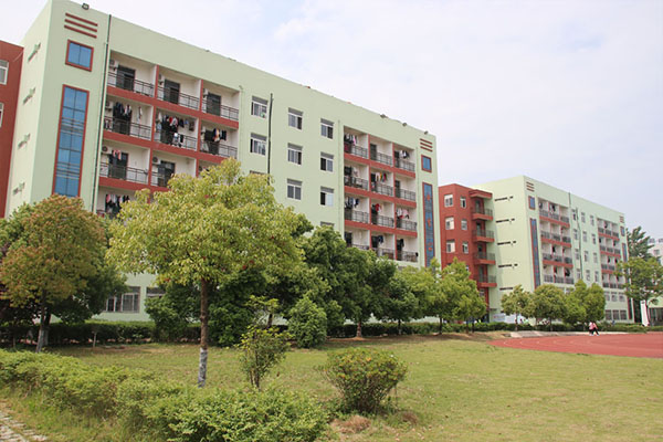 合肥腾飞学校