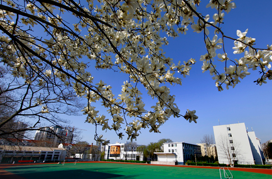桂东卫生学校