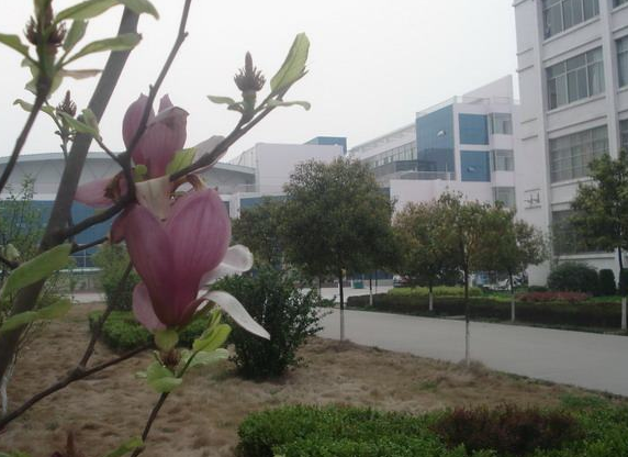 陆川县中等职业学校