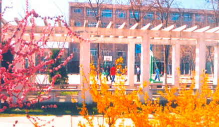 宁夏机电工程学校环境、学校图片