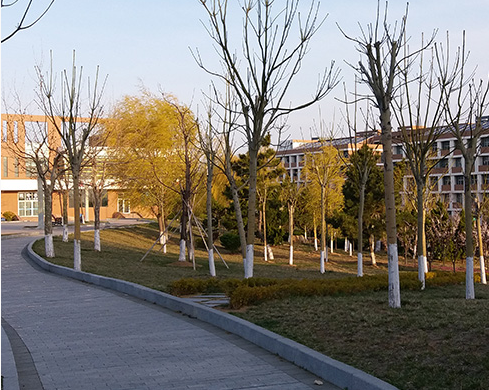 酒泉卫生学校