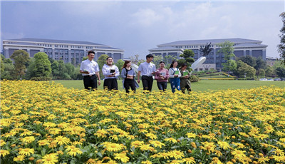 重庆能源职业学院招生代码